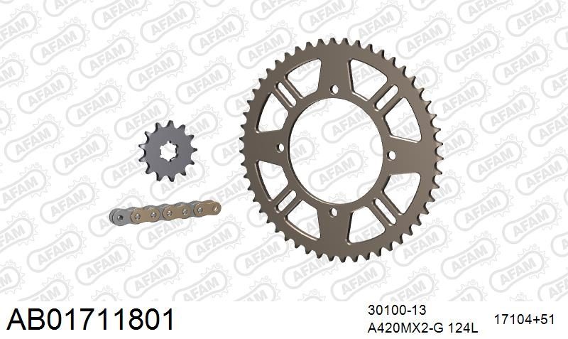 420MX2 124 AR (CLIP) GOLD & SPROCKETS