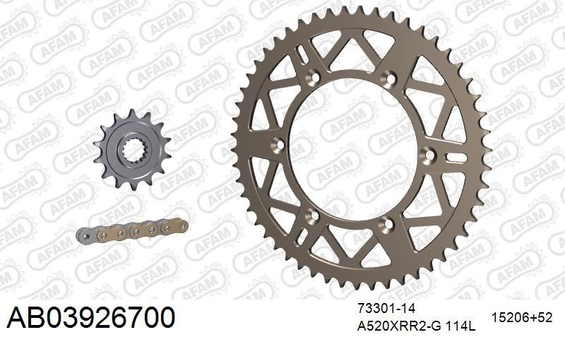 520XRR3 114 ARS (CLIP) GOLD & SPROCKETS
