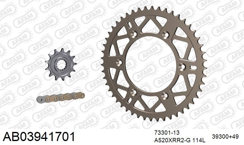 520XRR3 114 ARS (CLIP) GOLD & SPROCKETS