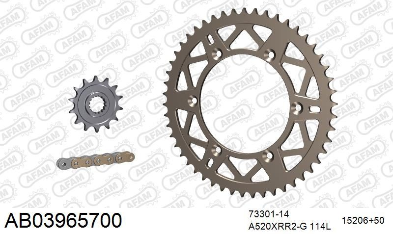 520XRR3 114 ARS (CLIP) GOLD & SPROCKETS