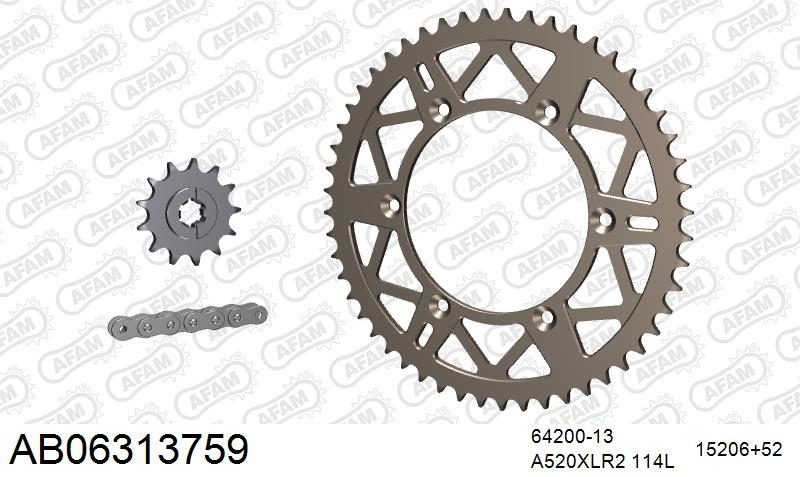 520XRR3 114 ARS (CLIP) GOLD & SPROCKETS
