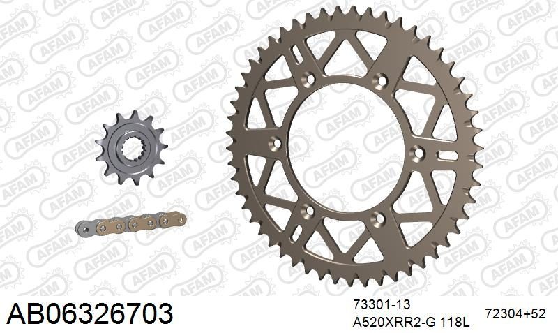 520XRR3 118 ARS (CLIP) GOLD & SPROCKETS