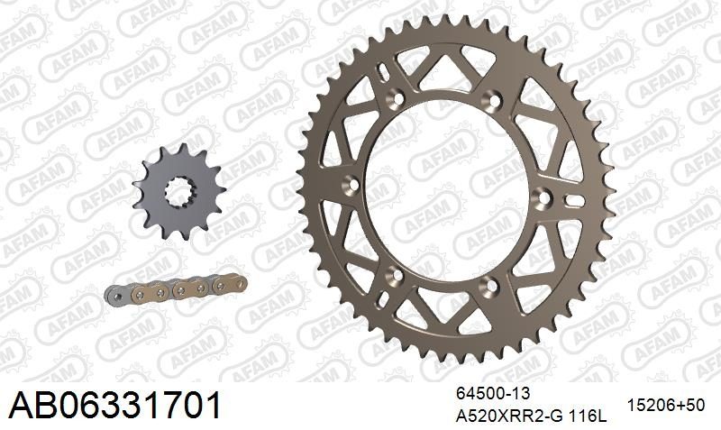 520XRR3 116 ARS (CLIP) GOLD & SPROCKETS