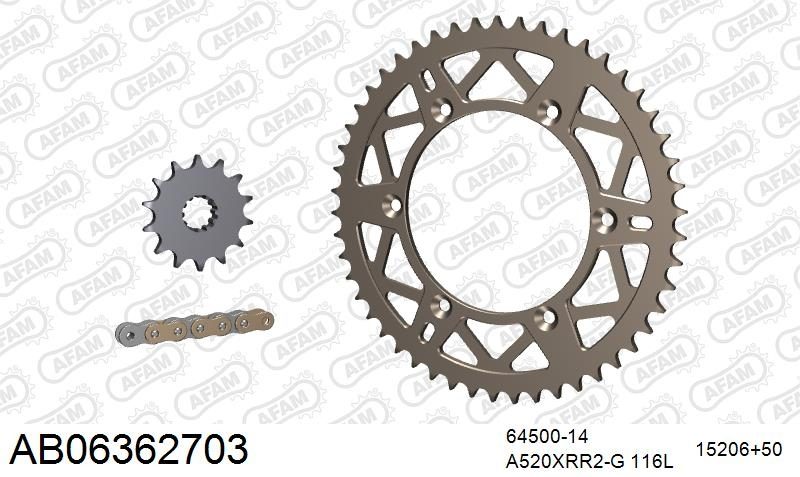 520XRR3 116 ARS (CLIP) GOLD & SPROCKETS