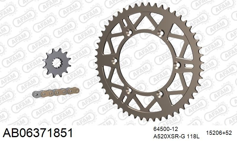 520XRR3 118 ARS (CLIP) GOLD & SPROCKETS
