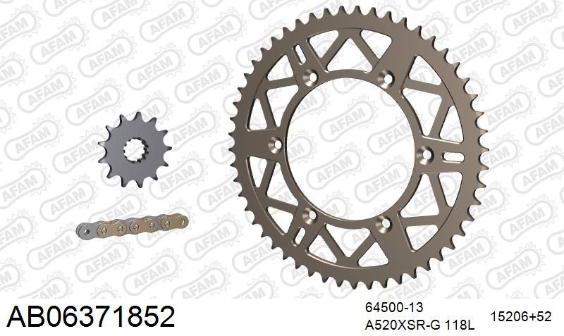 520XRR3 118 ARS (CLIP) GOLD & SPROCKETS