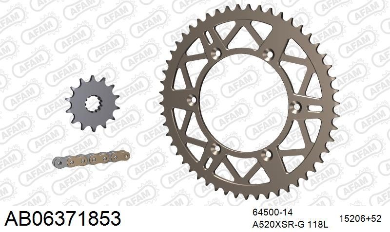 520XRR3 118 ARS (CLIP) GOLD & SPROCKETS