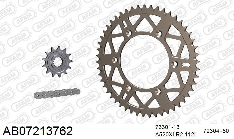 520XRR3 112 ARS (CLIP) GOLD & SPROCKETS