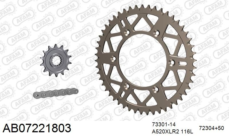 520XRR3 116 ARS (CLIP) GOLD & SPROCKETS