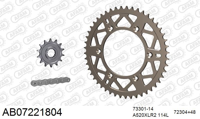 520XRR3 114 ARS (CLIP) GOLD & SPROCKETS
