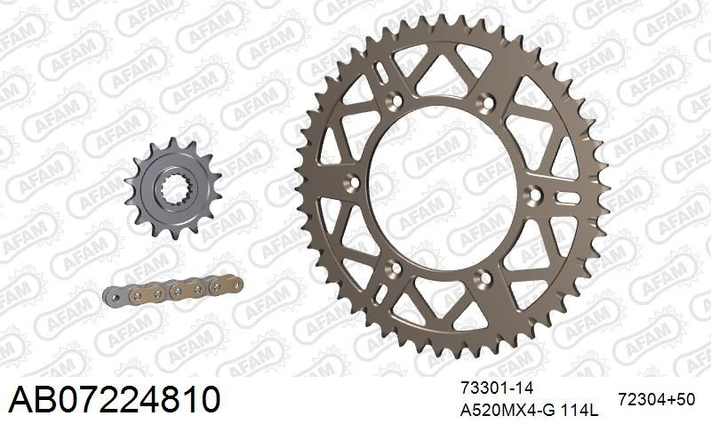520MR2 114 ARS (CLIP) GOLD & SPROCKETS