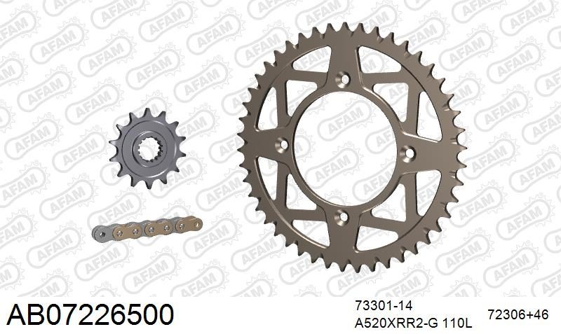 520XRR3 110 ARS (CLIP) GOLD & SPROCKETS