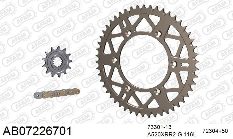 520XRR3 116 ARS (CLIP) GOLD & SPROCKETS