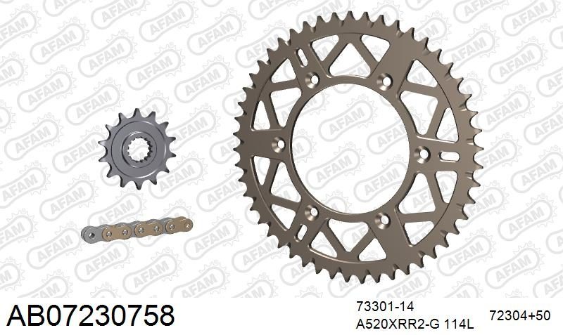 520XRR3 114 ARS (CLIP) GOLD & SPROCKETS