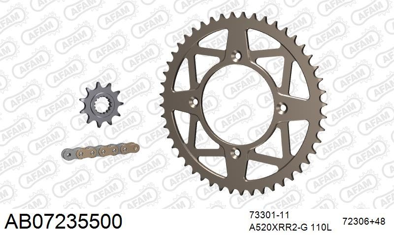 520XRR3 110 ARS (CLIP) GOLD & SPROCKETS