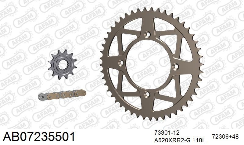 520XRR3 110 ARS (CLIP) GOLD & SPROCKETS