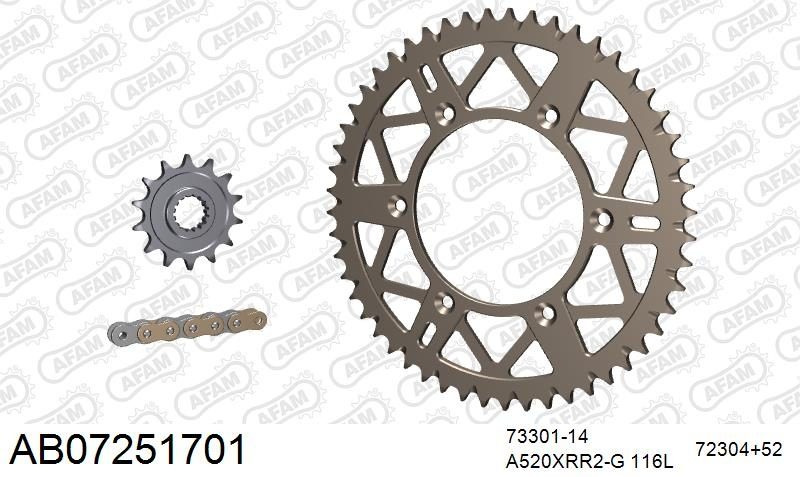 520XRR3 116 ARS (CLIP) GOLD & SPROCKETS