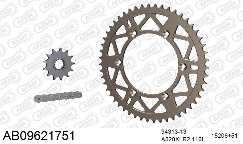 520XRR3 116 ARS (CLIP) GOLD & SPROCKETS