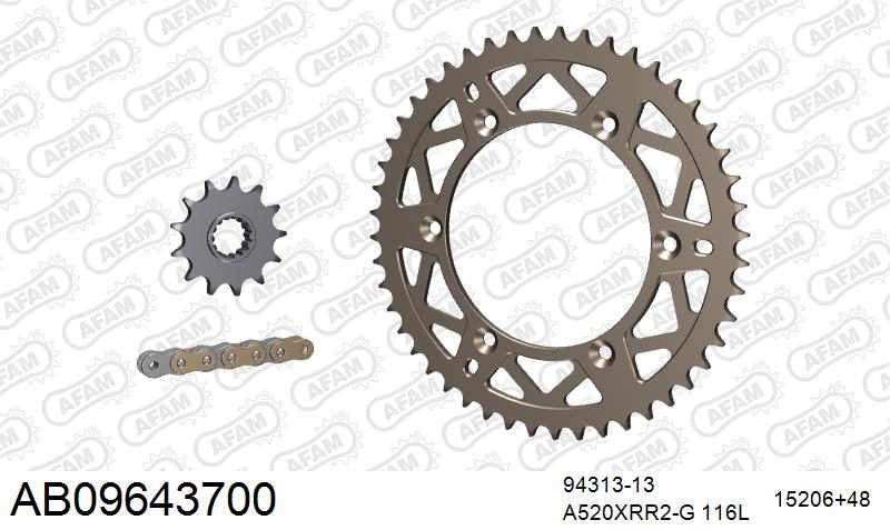 520XRR3 116 ARS (CLIP) GOLD & SPROCKETS