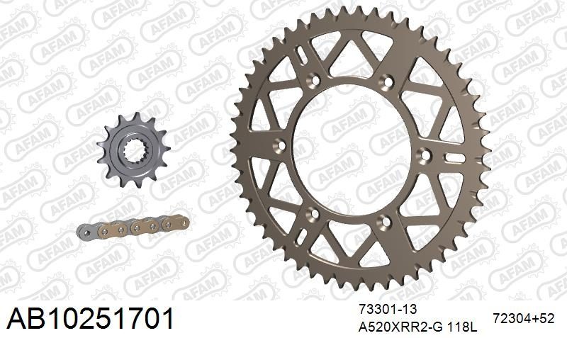 520XRR3 118 ARS (CLIP) GOLD & SPROCKETS