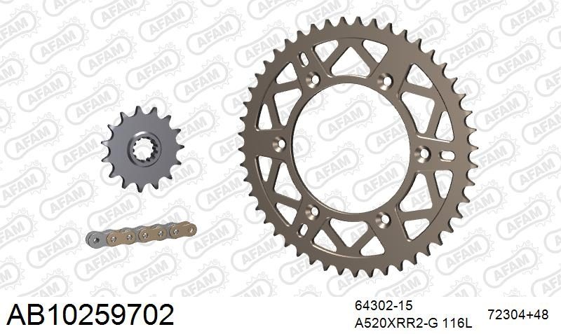 520XRR3 116 ARS (CLIP) GOLD & SPROCKETS