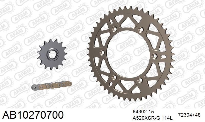 520XRR3 114 ARS (CLIP) GOLD & SPROCKETS