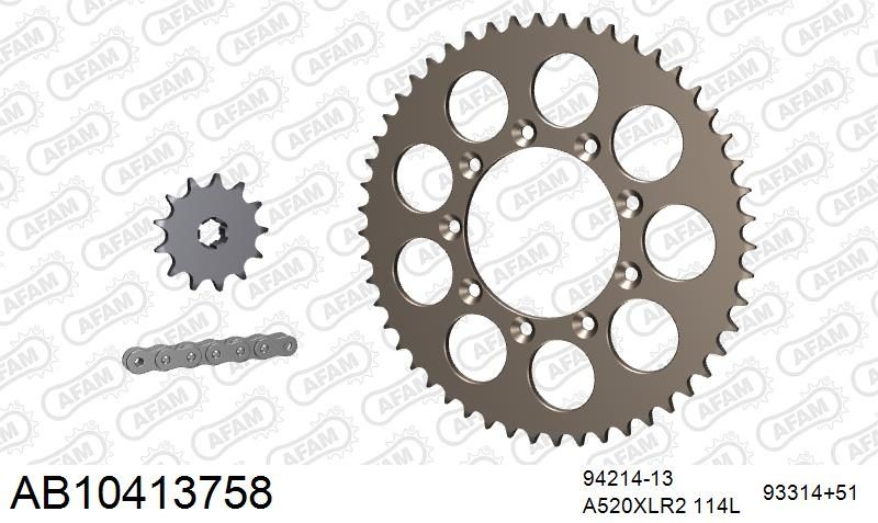520XRR3 114 ARS (CLIP) GOLD & SPROCKETS