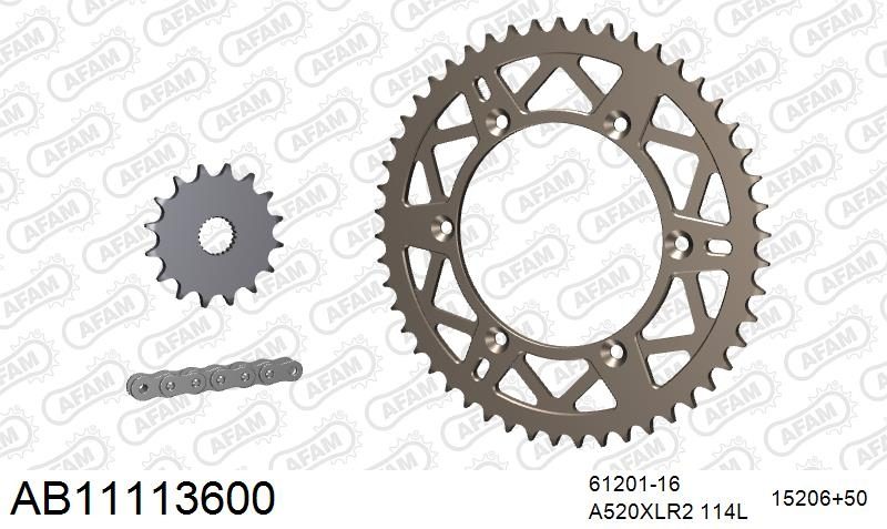 520XRR3 114 ARS (CLIP) GOLD & SPROCKETS