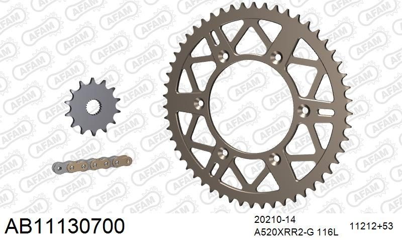 520XRR3 116 ARS (CLIP) GOLD & SPROCKETS