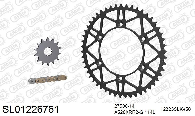 520XRR3 114 ARS (CLIP) GOLD & SPROCKETS foto 2