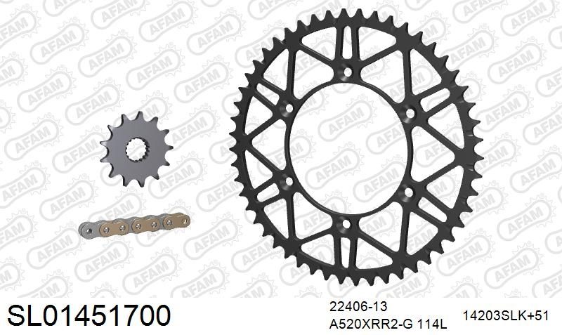 520XRR3 114 ARS (CLIP) GOLD & SPROCKETS foto 2