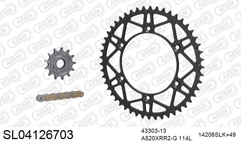 520XRR3 114 ARS (CLIP) GOLD & SPROCKETS foto 2