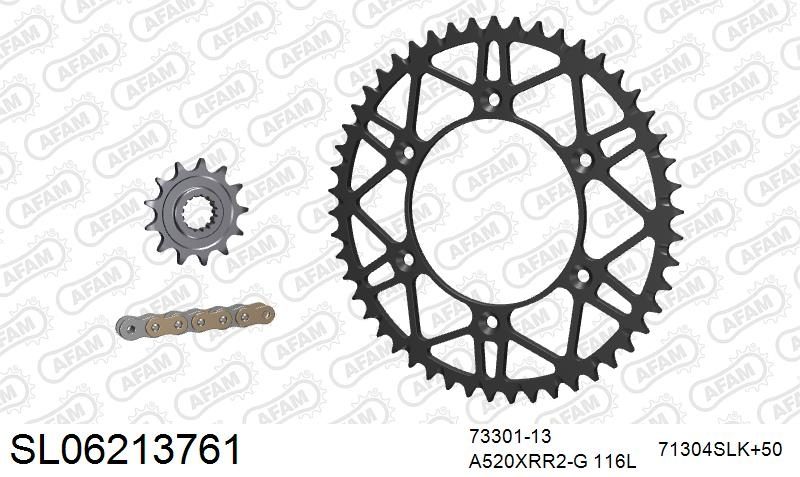 520XRR3 116 ARS (CLIP) GOLD & SPROCKETS foto 2