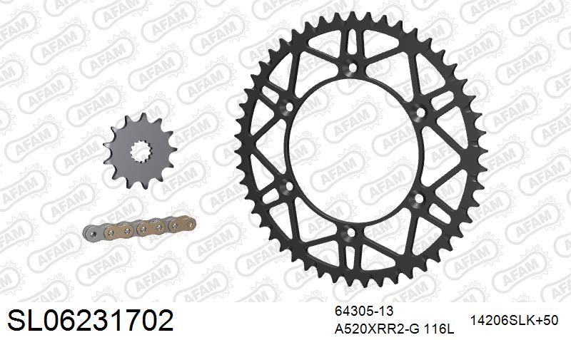 520XRR3 116 ARS (CLIP) GOLD & SPROCKETS foto 2