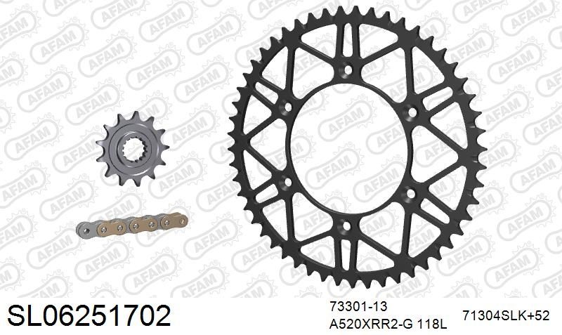 520XRR3 118 ARS (CLIP) GOLD & SPROCKETS foto 2