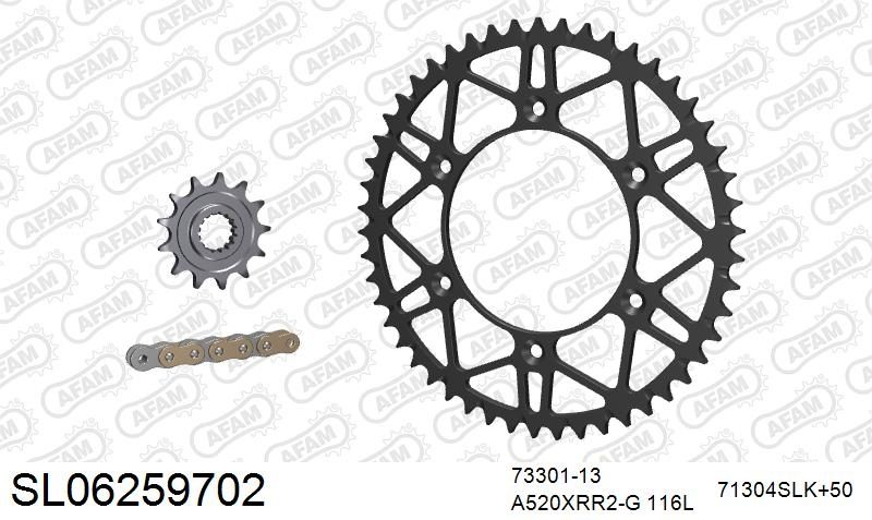 520XRR3 116 ARS (CLIP) GOLD & SPROCKETS foto 2