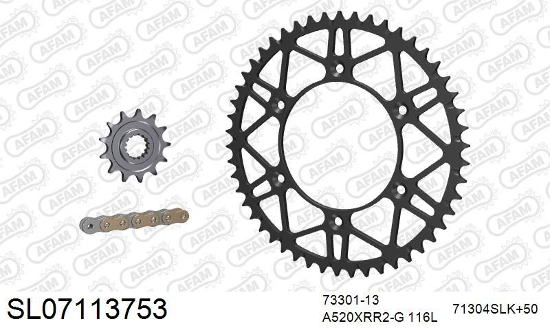 520XRR3 118 ARS (CLIP) GOLD & SPROCKETS foto 2