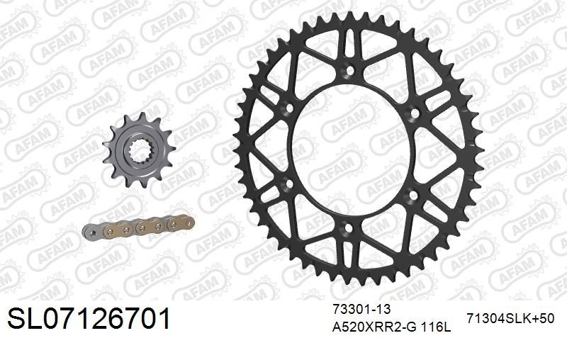 520XRR3 116 ARS (CLIP) GOLD & SPROCKETS foto 2