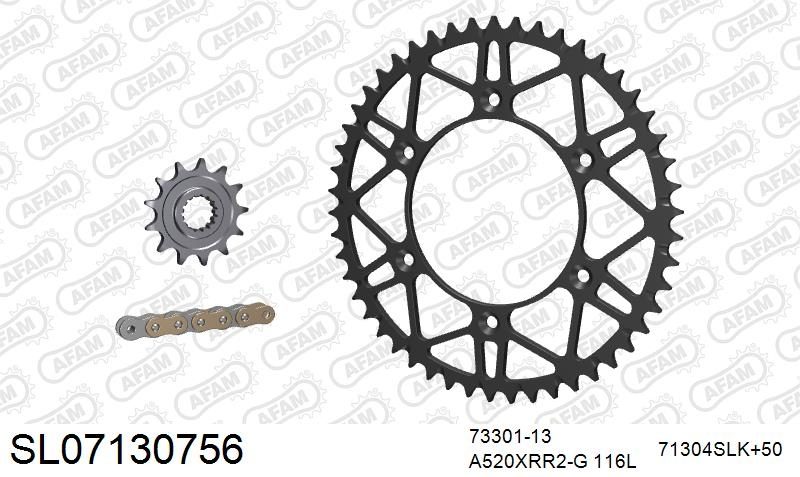 520XRR3 116 ARS (CLIP) GOLD & SPROCKETS foto 2