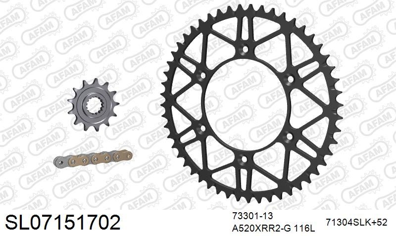 520XRR3 116 ARS (CLIP) GOLD & SPROCKETS foto 2