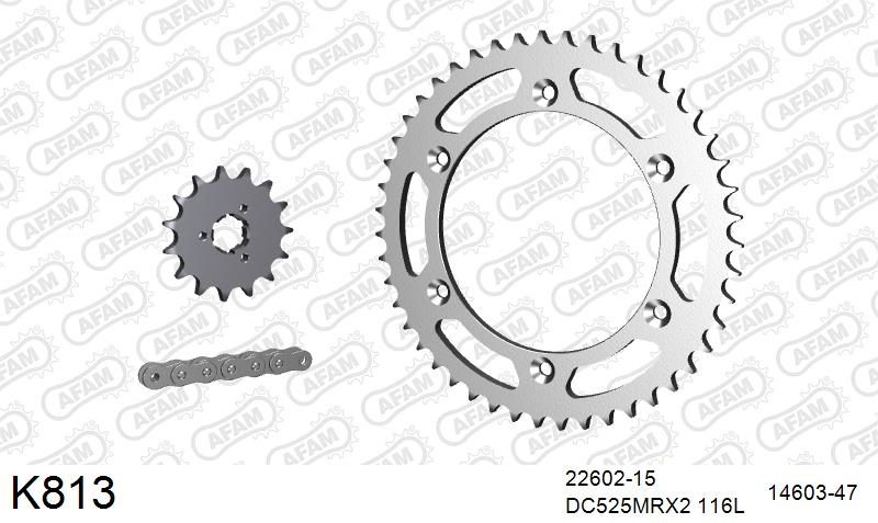 525MTX3 116L PLS (RIVET) & SPROCKETS foto 2