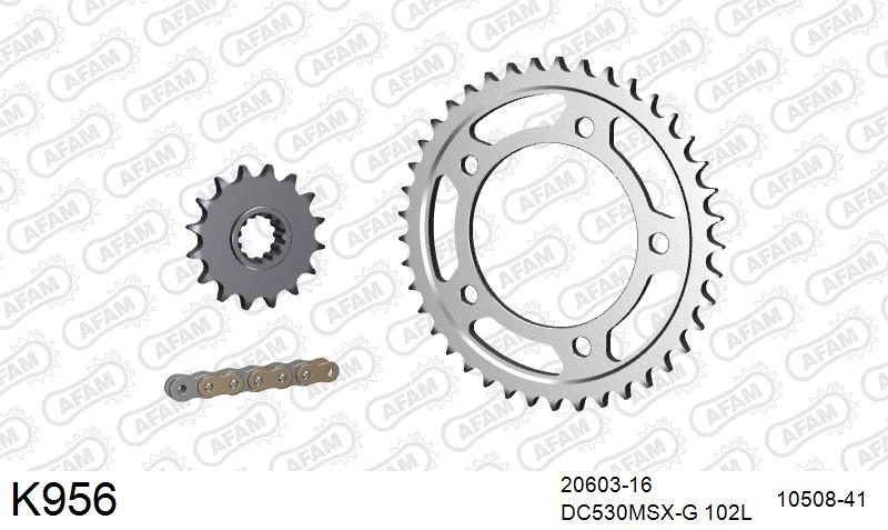 530MSX 102 PLS (RIVET) GOLD & SPROCKETS foto 2