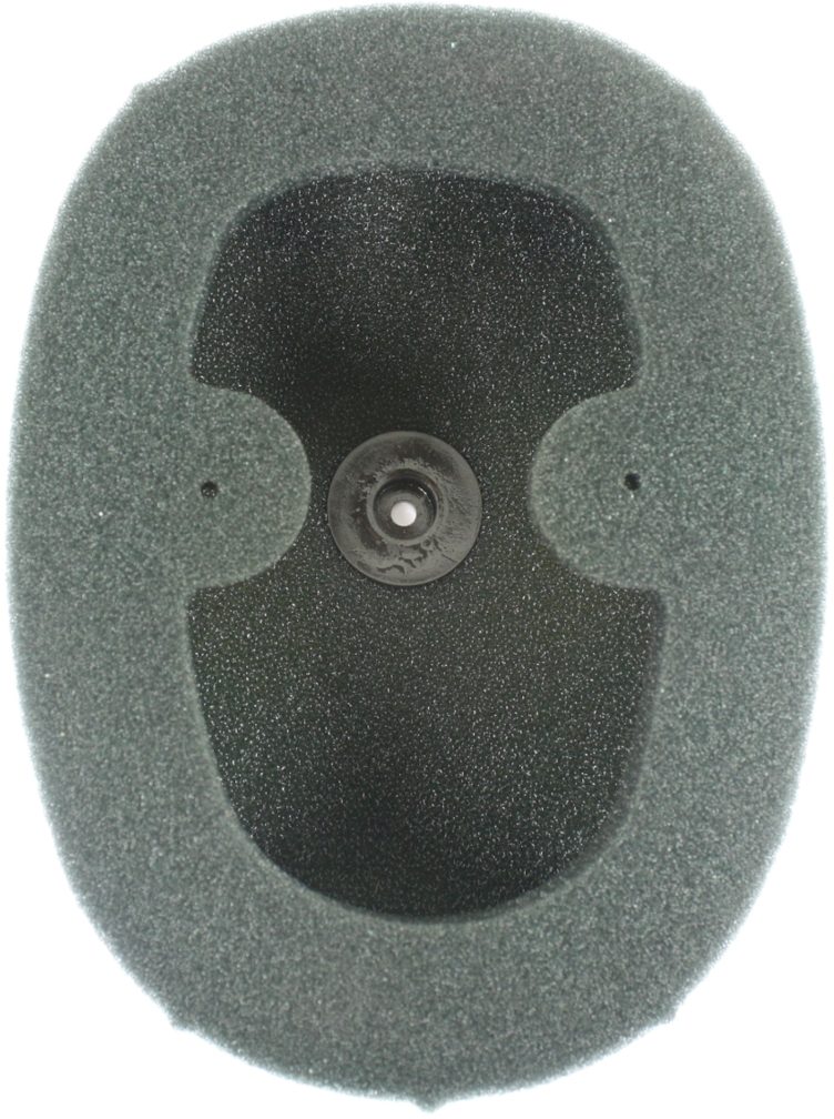 PRE-OILED AIR FILTER (FR) HONDA foto 2