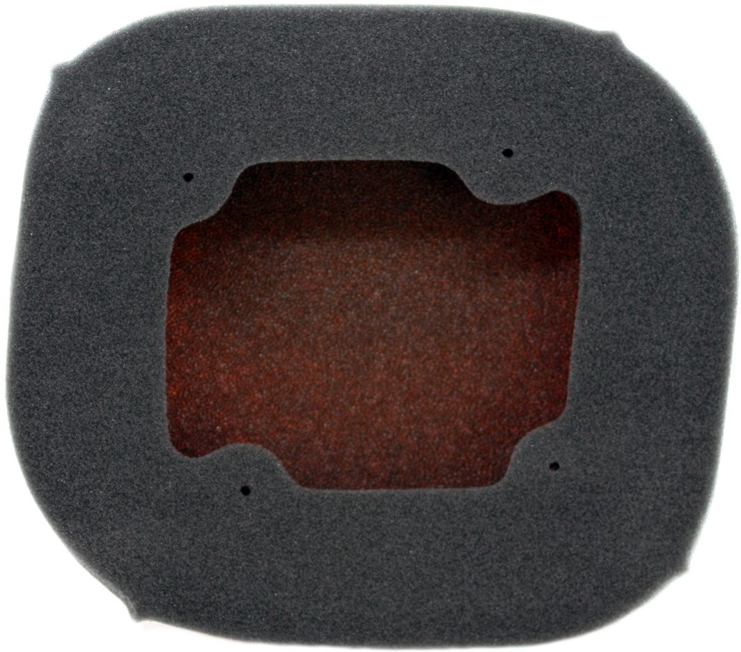 AIR FILTER (FR) KTM/HUSQVARNA