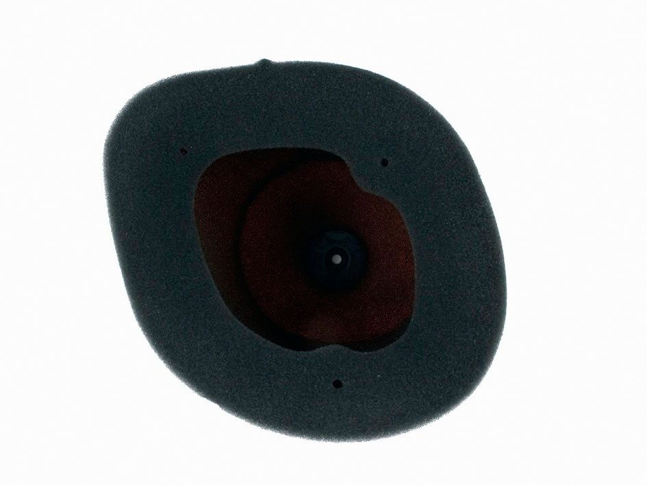 AIR FILTER (FR) GAS GAS