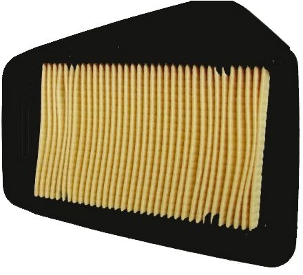 AIR FILTER, CAF0113