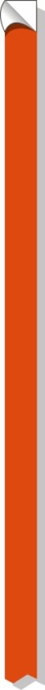 WHEEL STRIPING, REFLECTIVE ORANGE