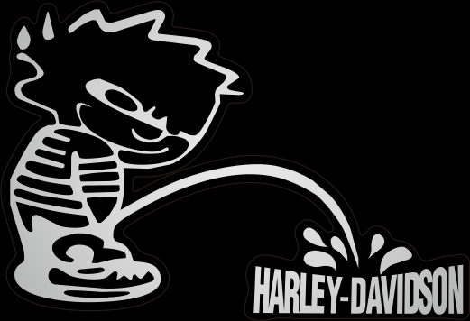 PACKAGE WITH 2 FLAT LABELS HARLEY SILVER