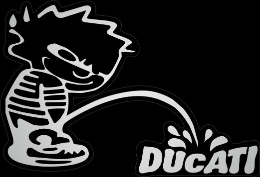 PACKAGE WITH 2 FLAT LABELS DUCATI SILVER
