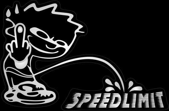 PACKAGE /W 2 FLAT LABELS SPEED LIMIT SILVER